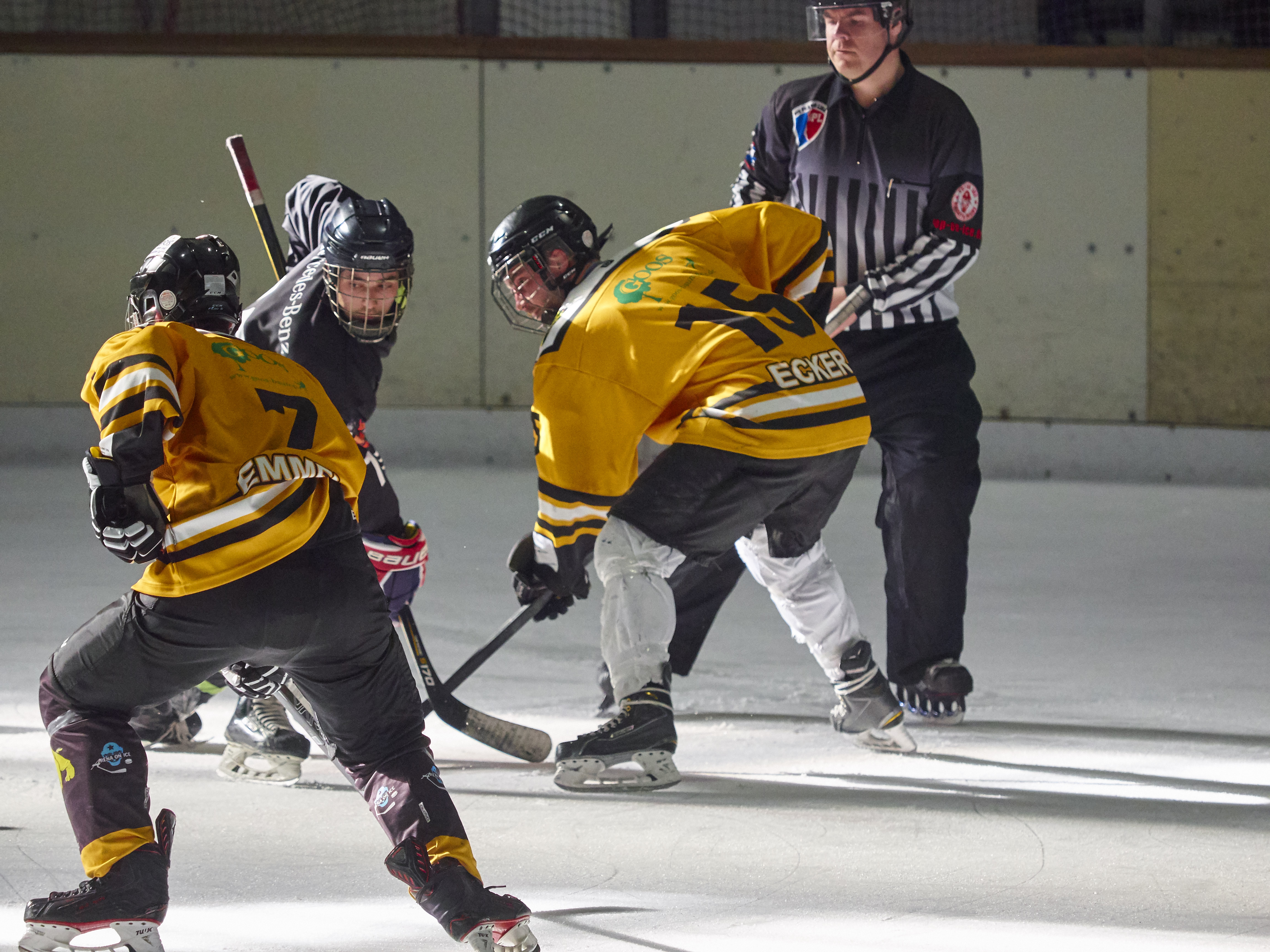 DPL Finale 2018 P4081167